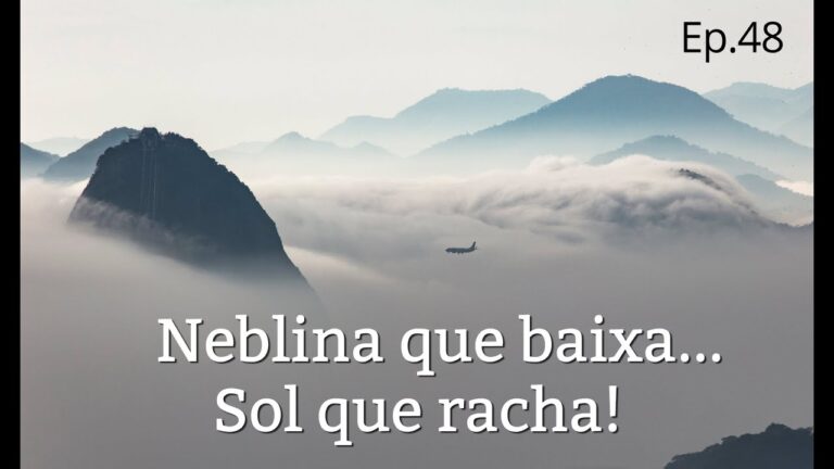Explorando as Fotos de Rola Branca: Uma Visão Detalhada