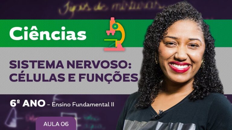 Atividades de sistema nervoso para o 6º ano