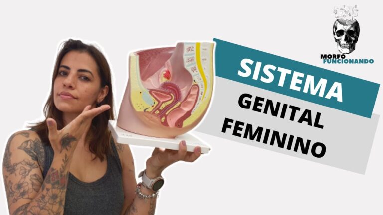 Anatomia do Canal Vaginal: Guia Completo