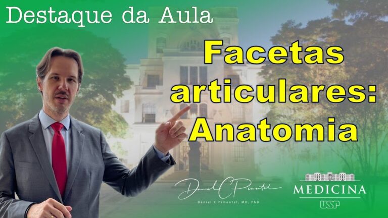A Importância da Faceta Articular na Saúde das Articulações