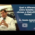 Rela&ccedil;&atilde;o entre G6PD e autismo: uma an&aacute;lise