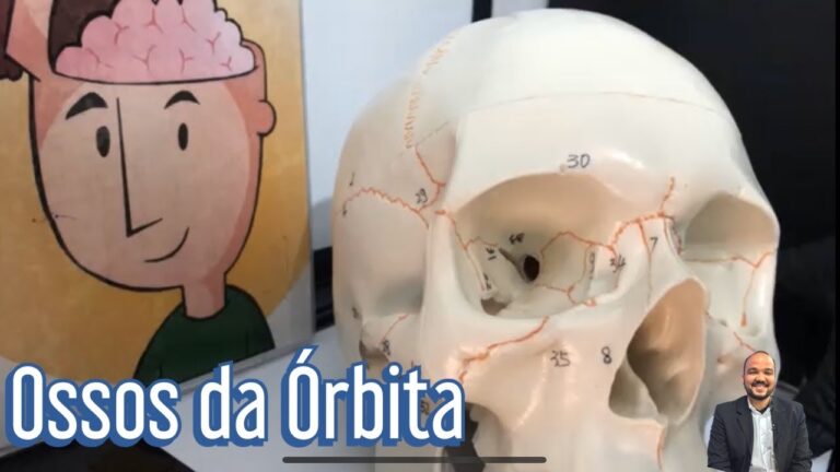 A Import&acirc;ncia da Higiene Ocular para a Sa&uacute;de da Cavidade Ocular
