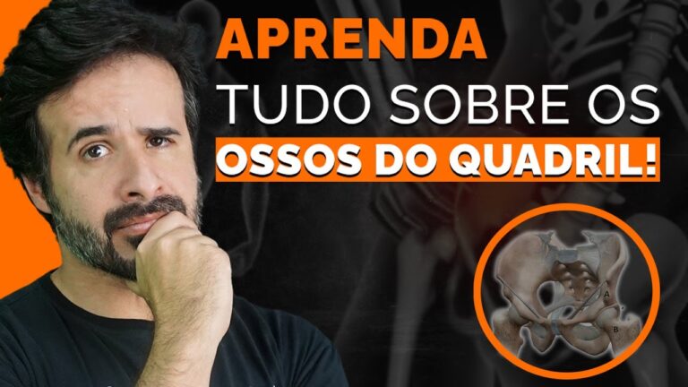Anatomia dos Ossos do Quadril