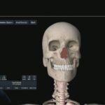 Riscos da Cirurgia Bari&aacute;trica: O Que Voc&ecirc; Precisa Saber