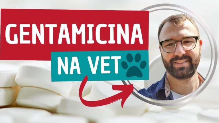 Preço da Gentamicina Veterinária: Guia de Economia para Cuidados Animais