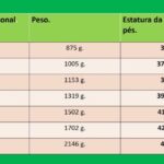 Aumento de Escavação: Estratégias e Benefícios