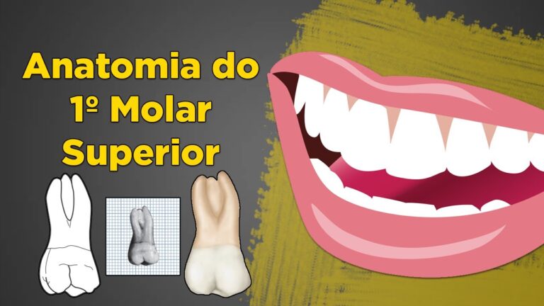 Guia Completo: Dente Molar Superior
