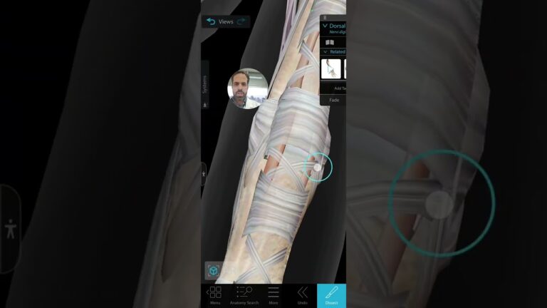 Anatomia e Função dos Ligamentos do Dedo da Mão