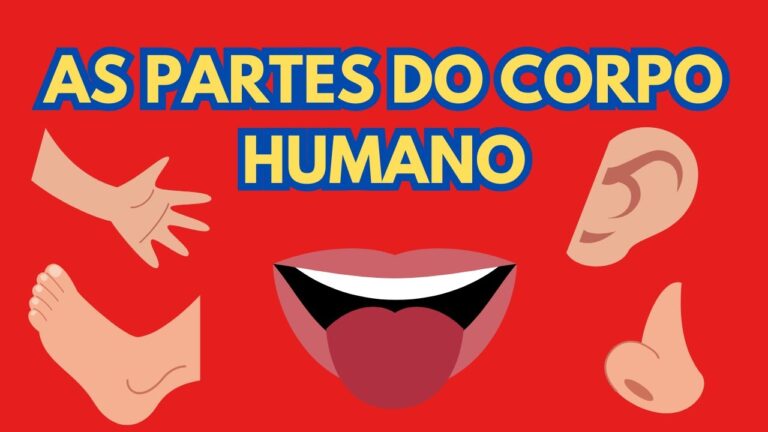 Partes do Corpo Com a Letra X: Conheça 10 Exemplos | Actualizado mayo 2026