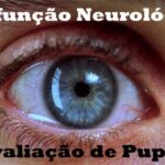A Importância da Cabeça da Ulna: Função e Lesões