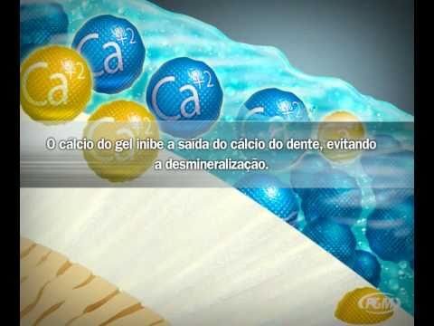 A import&acirc;ncia do c&aacute;lcio oral para a sa&uacute;de &oacute;ssea