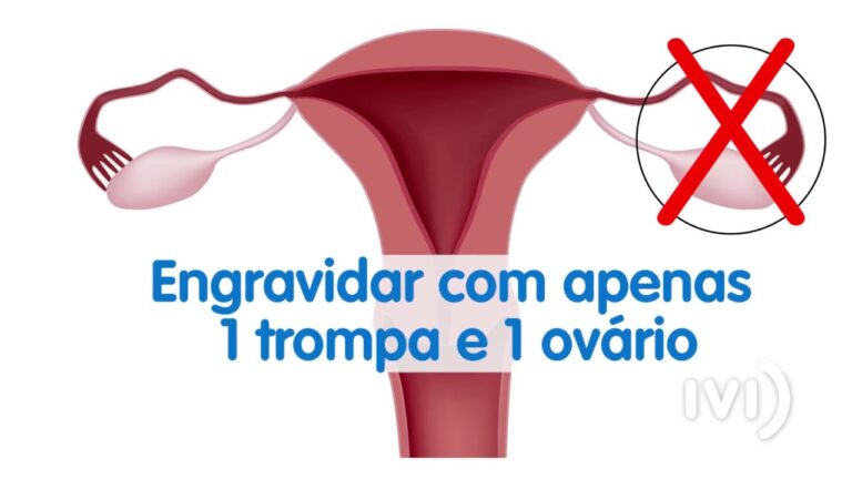 Ovario e Trompas: Funções e Problemas Comuns