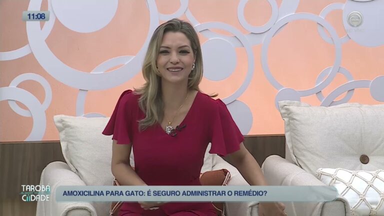 Dose de Amoxicilina Clavulanato para Gatos