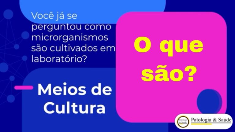 Entendendo os Meios de Cultura: Conceito e Utilização