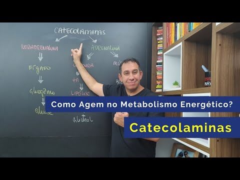 Níveis de catecolaminas plasmáticas: uma análise otimizada