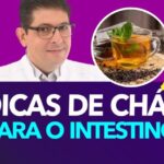 Calculadora da Taxa de Filtra&ccedil;&atilde;o Glomerular: Como Usar e Interpreta&ccedil;&otilde;es