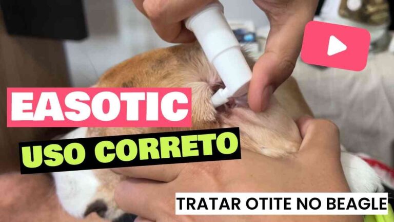 Suspens&atilde;o Otol&oacute;gica: Uma Abordagem Concisa