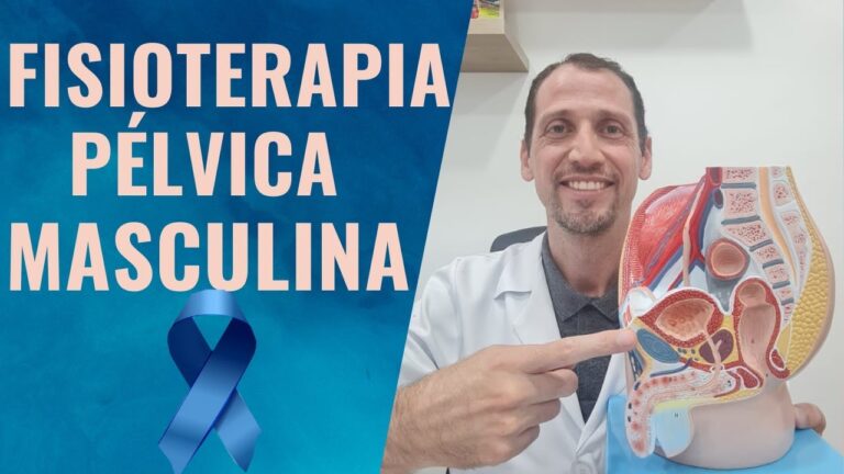 Anatomia da Pélvis Masculina: Uma Visão Detalhada | Actualizado mayo 2026