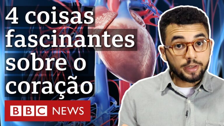 Curiosidades do Coração