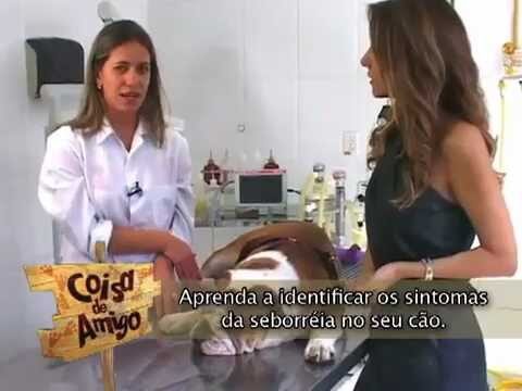 Fotos de Dermatite em Gatos: Diagn&oacute;stico e Tratamento
