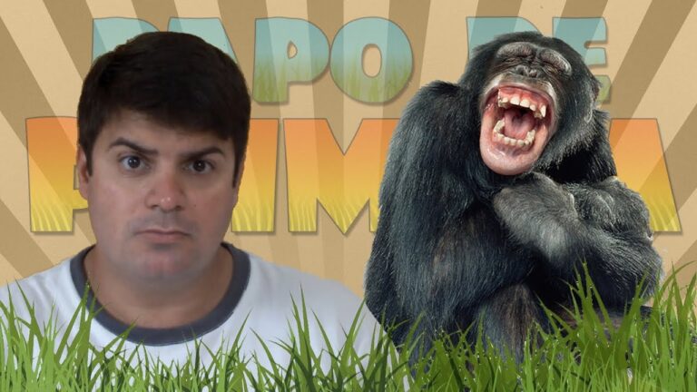 Similaridades entre mamíferos: Macacos e Seres Humanos | Actualizado ...