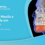 Calculadora de Função Renal: Uma Ferramenta Essencial para a Saúde Renal