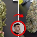 5 Maneiras de Melhorar as Varizes de Forma Eficiente