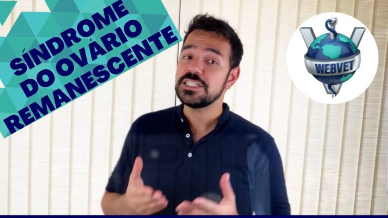 Ov&aacute;rio Remanescente: Possibilidade de Gravidez