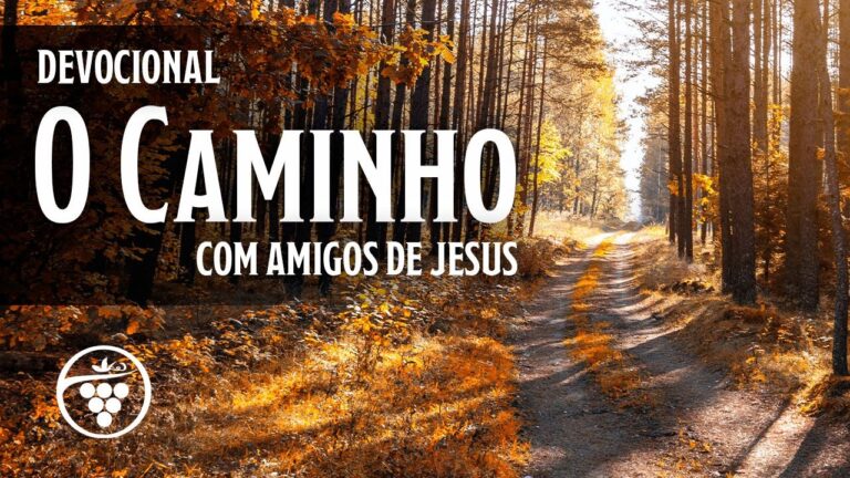 Quanto &eacute; 47 semanas?
