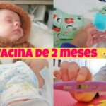 Calculadora TMB Harris: Como Calcular sua Taxa de Metabolismo Basal