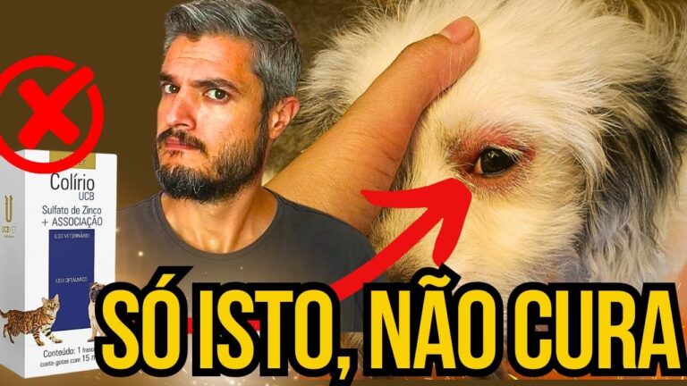 Como tratar verme vermelho no olho do cachorro