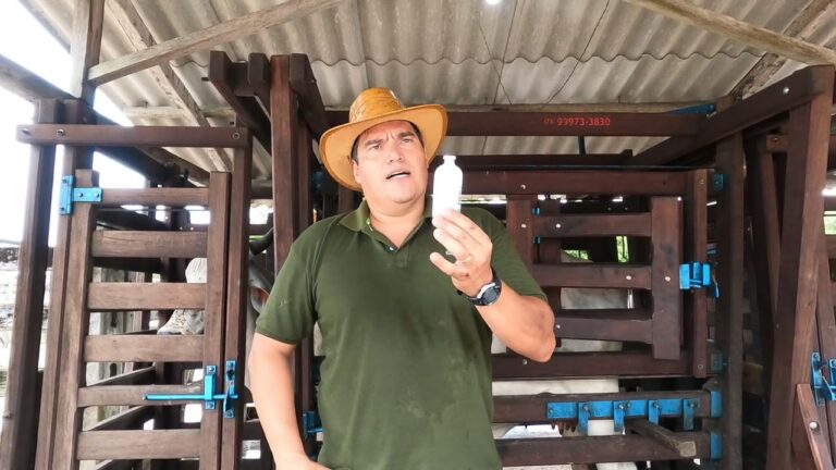 Guia para Aplicar a Vacina de Carb&uacute;nculo: Passo a Passo