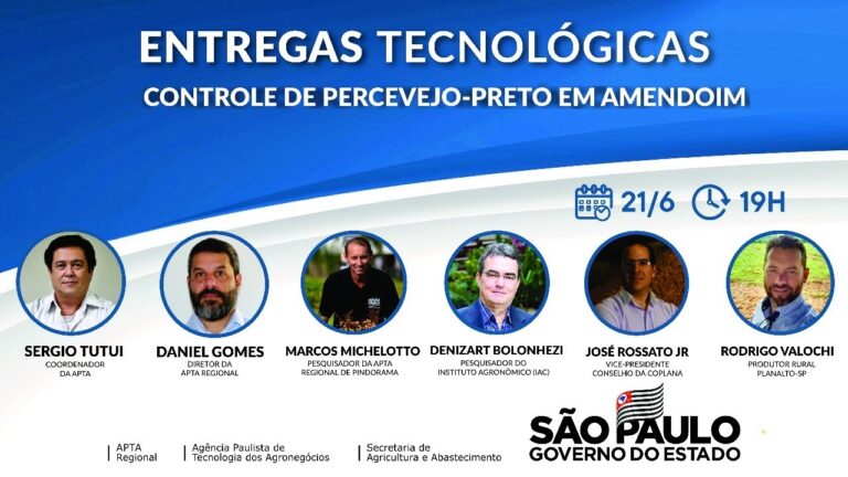 Percevejo Preto Grande: Identificação e Controle