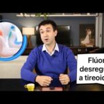 Alimentos ideais para sonda de gastrostomia