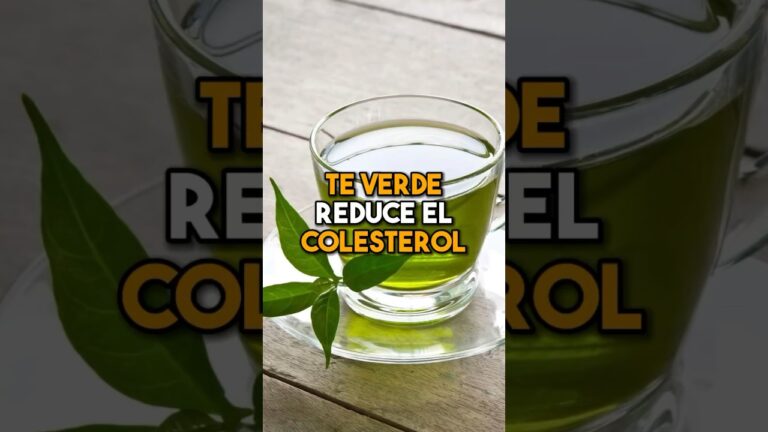 Benefícios do Chá Verde: Um Guia Completo
