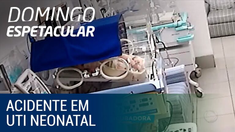 Encubadora de Bebê: O Que Você Precisa Saber