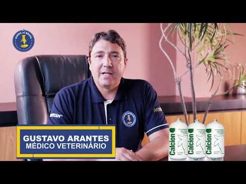 A importância da injeção de cálcio na saúde óssea