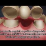 Significado e Import&acirc;ncia do MSS