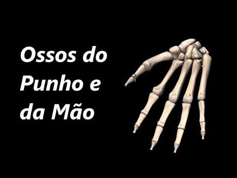 Anatomia do Pulso Direito: Guia Completo