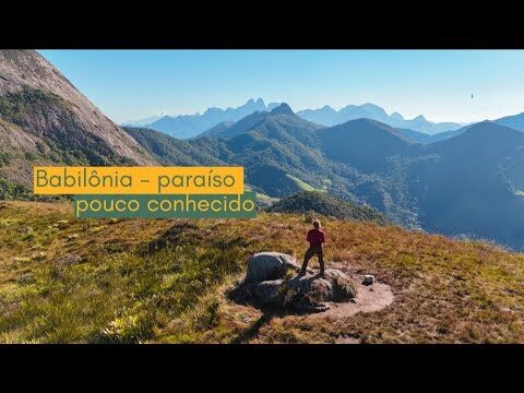 42 Semanas Atrás: O Que Aconteceu?