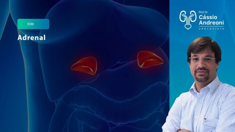 Consequências da retirada da glândula suprarrenal: um guia otimizado