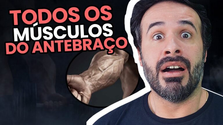 Anatomia do Antebraço: Estrutura e Função