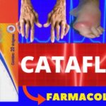 Guia para o uso seguro de Butox em cachorros