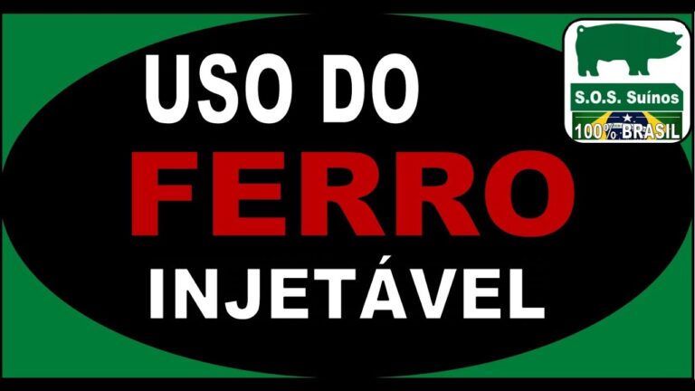 Ferro Injetável de Dose Única: Eficiência Garantida