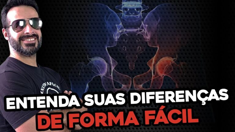 Trígono Urogenital: Função e Importância na Saúde
