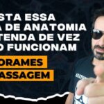 Dor na Phmetria: Causas e Tratamentos