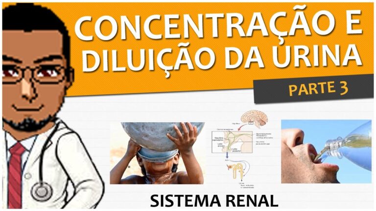 Entendendo a Osmolaridade Urin&aacute;ria Normal