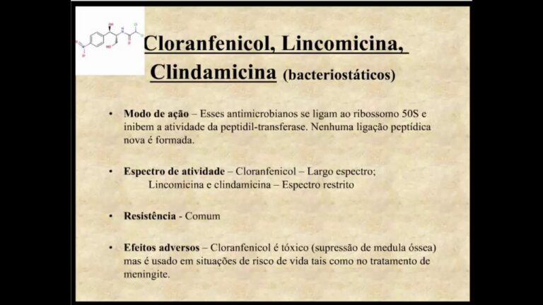 Cloranfenicol Injetável: Uso e Eficácia