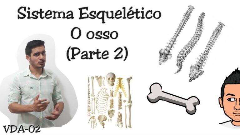 Comparação entre osso trabecular e cortical: Estruturas e Funções