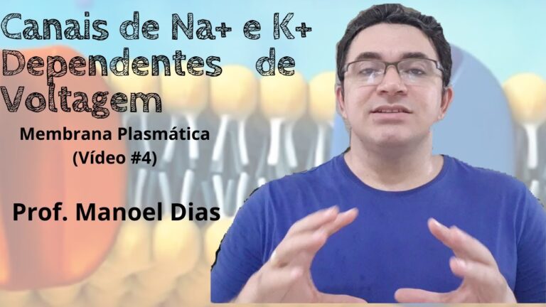 Canais de Sódio: Entendendo sua Importância na Fisiologia Celular